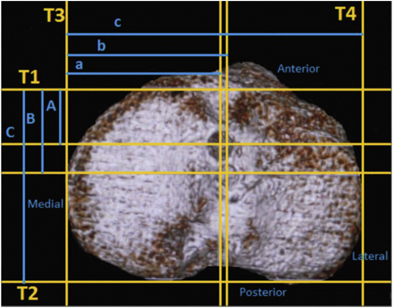 Fig. 2