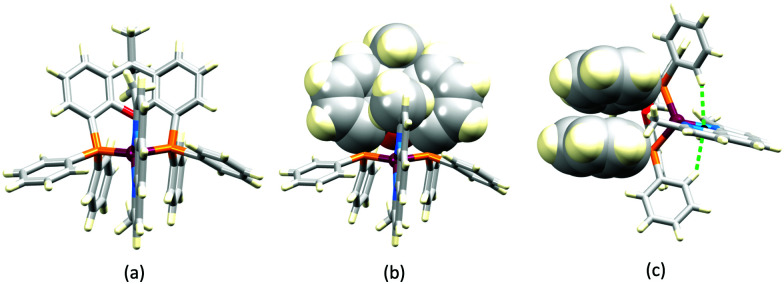 Fig. 12