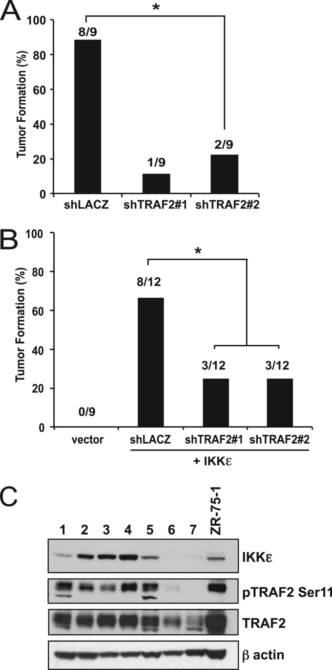 Fig 9