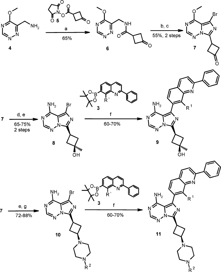 Scheme 2