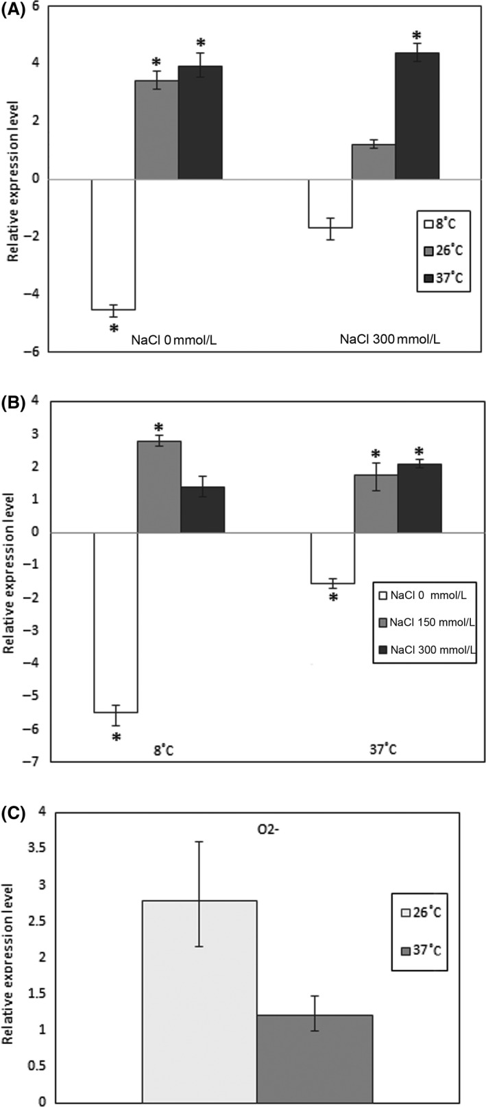 Figure 5