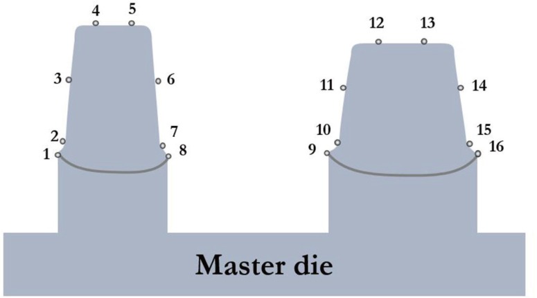 Fig. 7