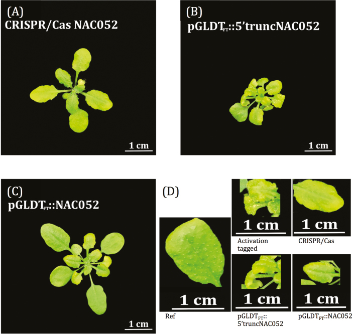 Fig. 2.