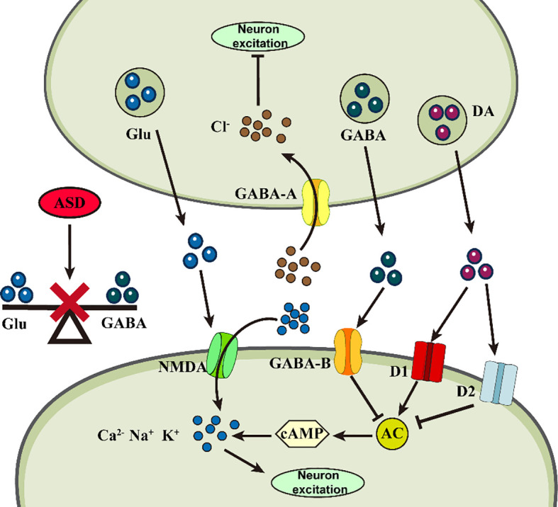 Figure 2