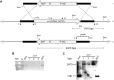 FIG 8