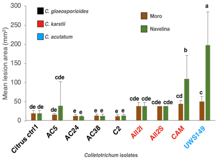 Figure 12