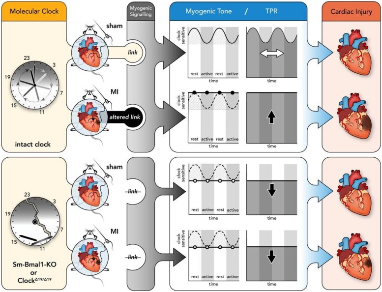 Graphical Abstract