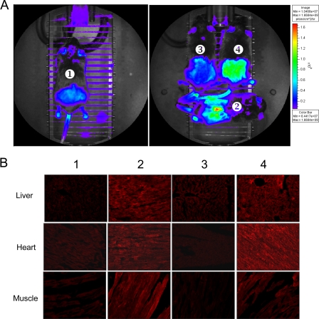 FIG. 3.