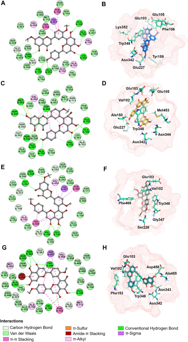 FIGURE 11