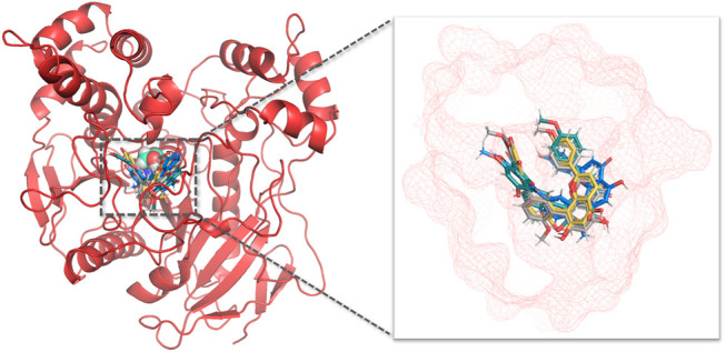 FIGURE 10