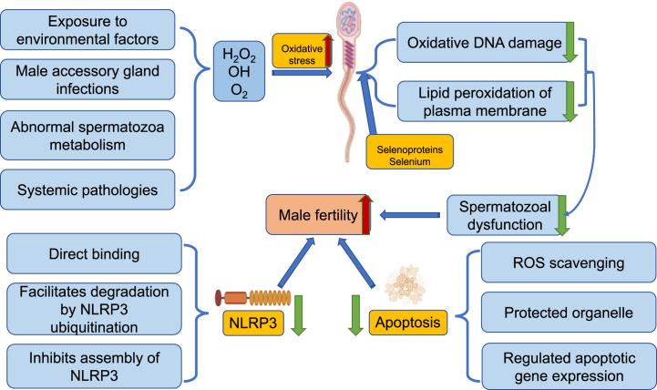 Fig. 4