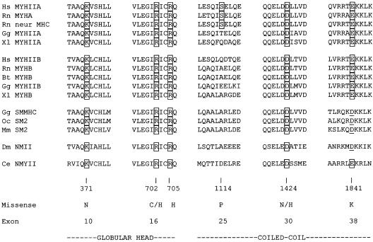 Figure  3