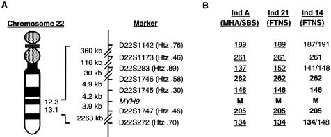 Figure  2