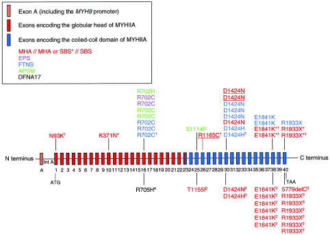 Figure  1