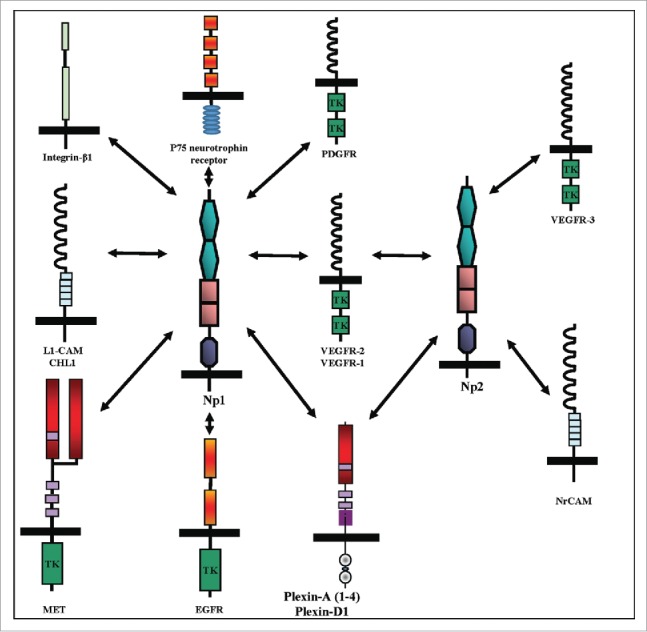 Figure 3.