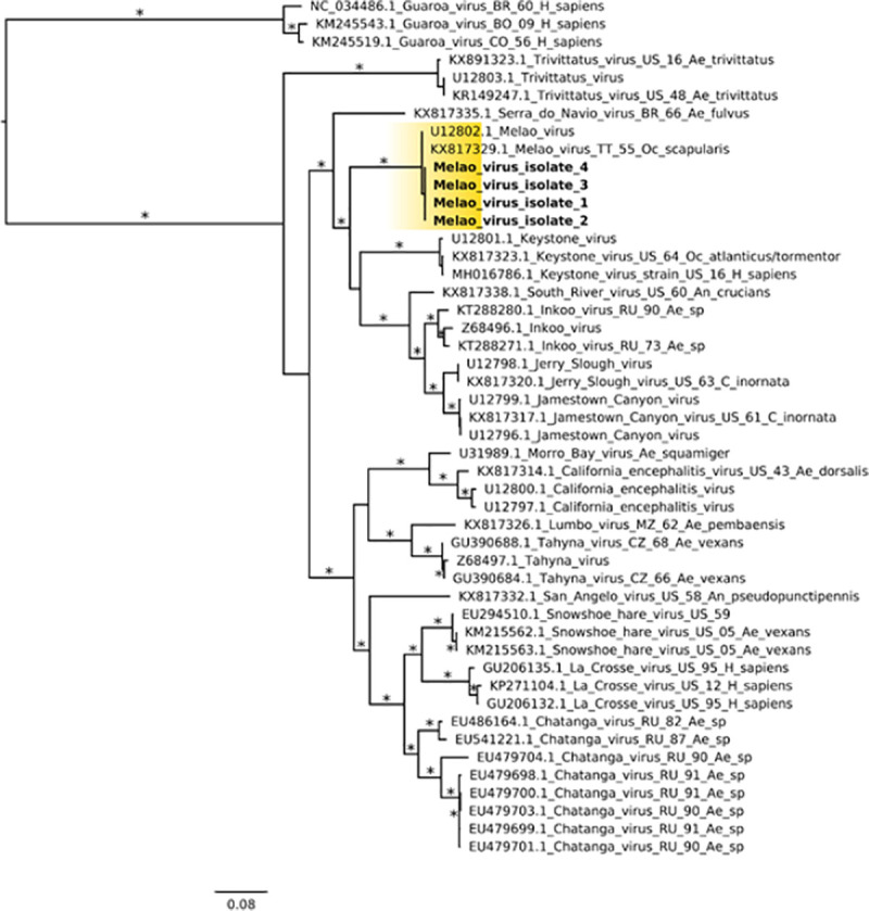 Fig 4