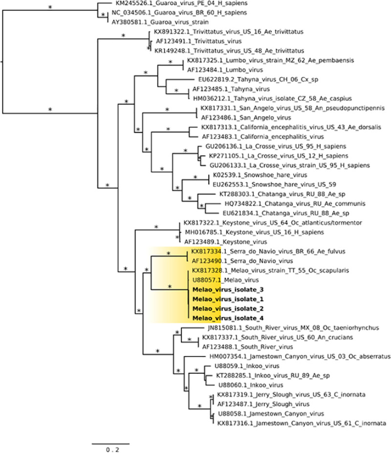 Fig 6