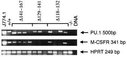 FIG. 8