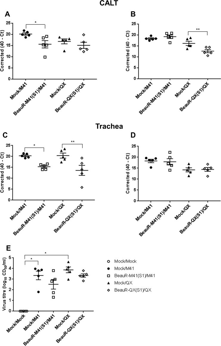 FIG 4