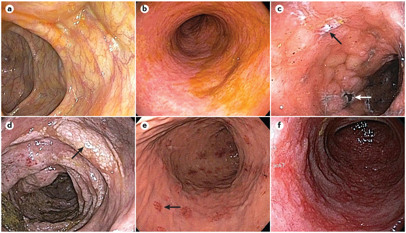 Figure 1 |