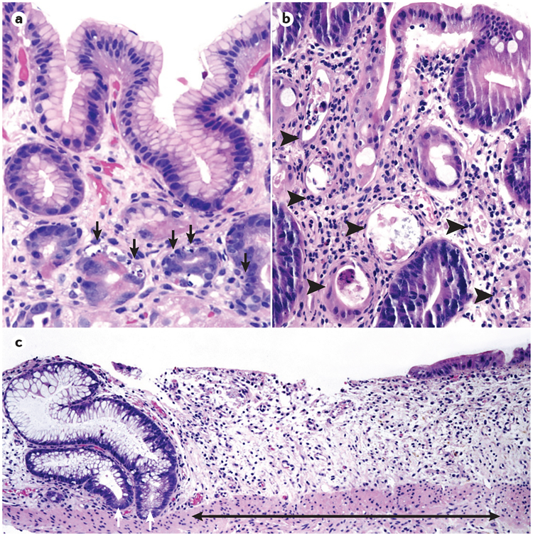 Figure 3 |