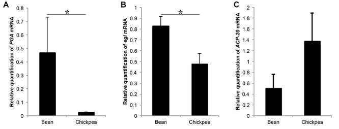 Figure 4 - 