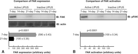 Fig. 4A–B