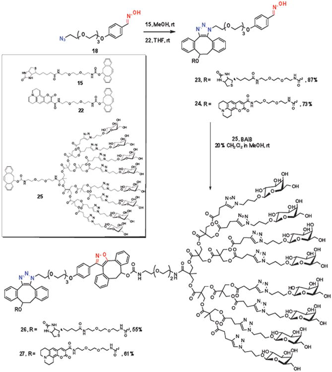 Scheme 4