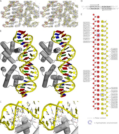 FIGURE 5.