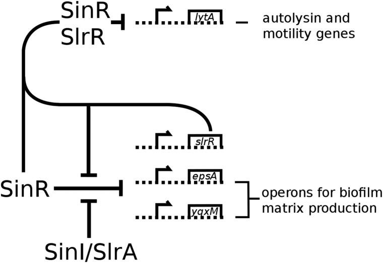 FIGURE 1.