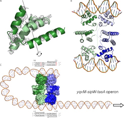 FIGURE 6.