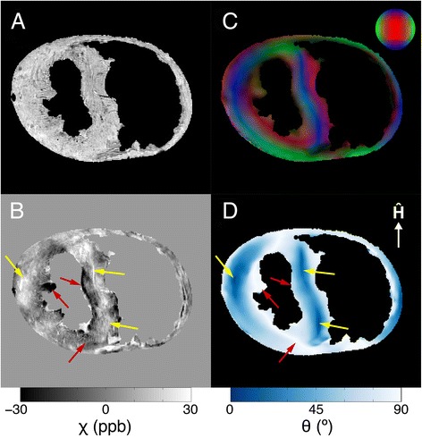 Fig. 4