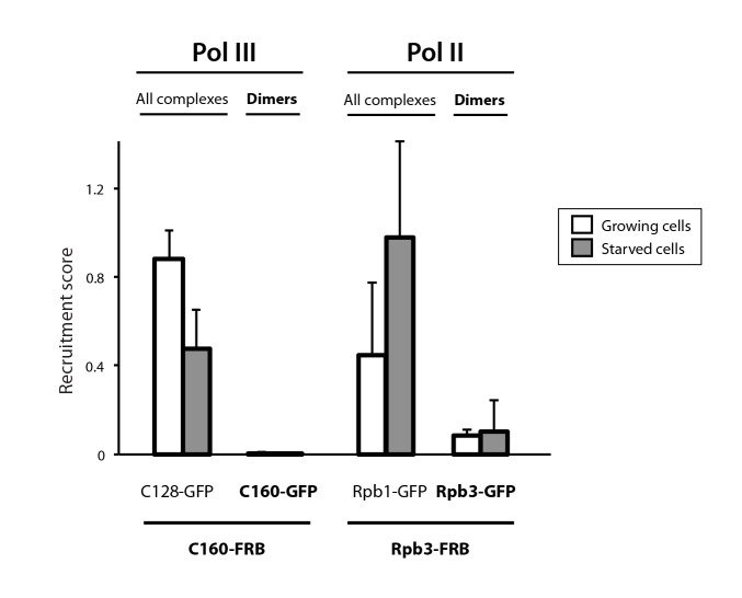 Figure 1—figure supplement 5.