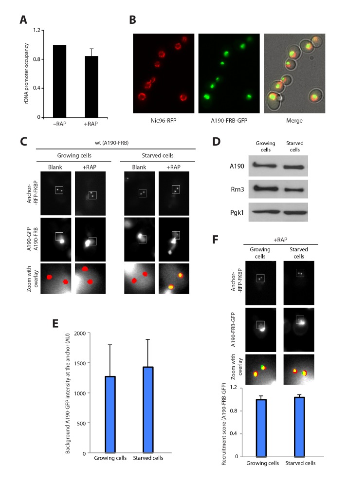 Figure 1—figure supplement 3.