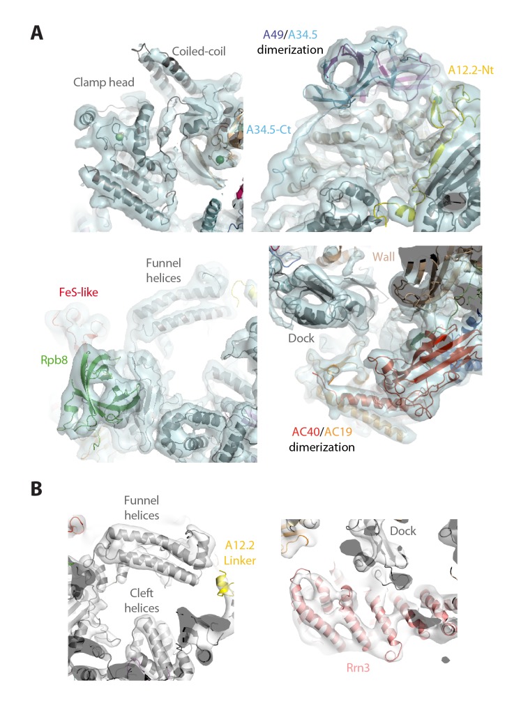 Figure 5—figure supplement 3.