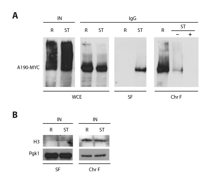 Figure 1—figure supplement 4.