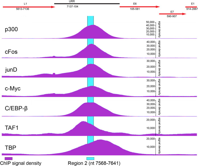 FIG 10