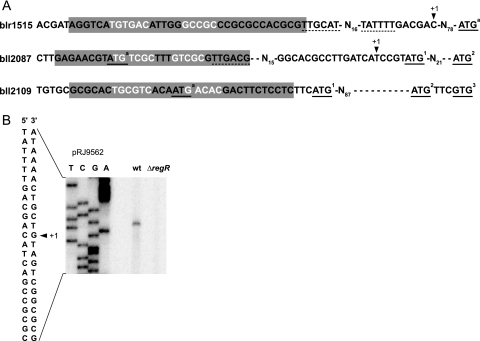 FIG. 5.