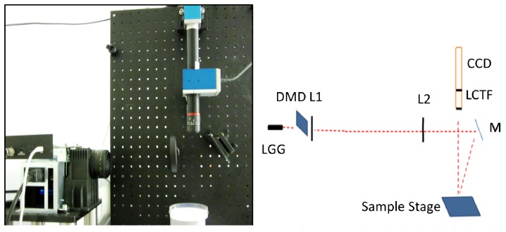 Fig. 1