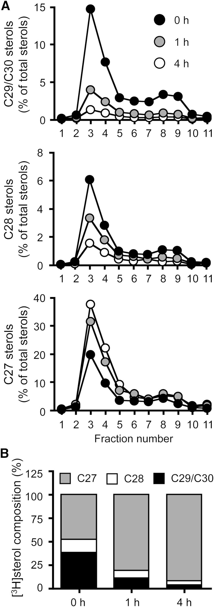 Fig. 6.