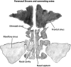 <b>Figure 3.</b>