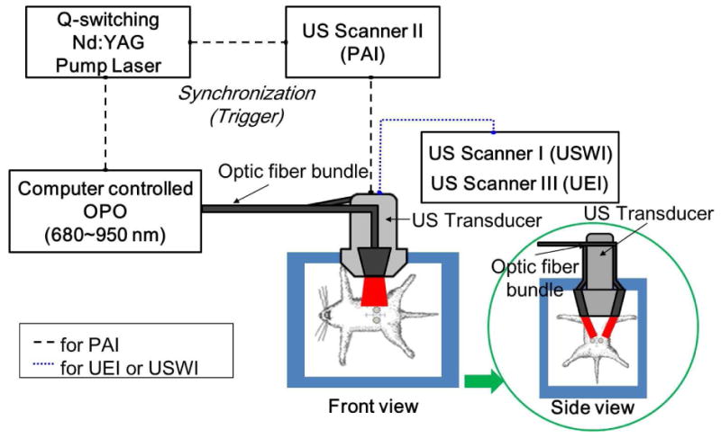 Fig. 1