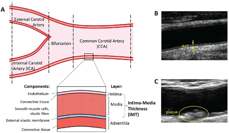 Figure 1.