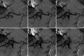 FIG. 3.