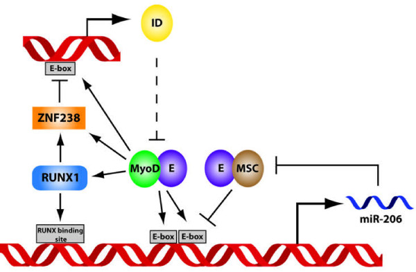 Figure 6 