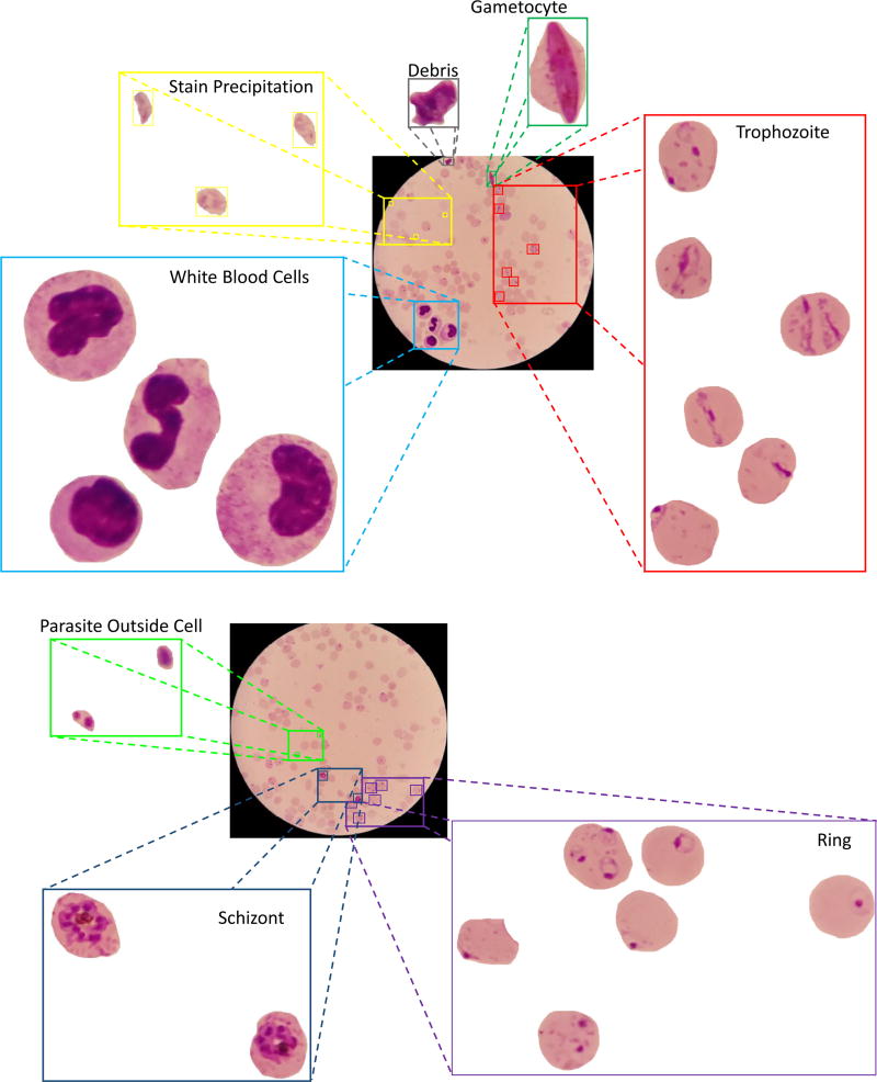 Fig 3