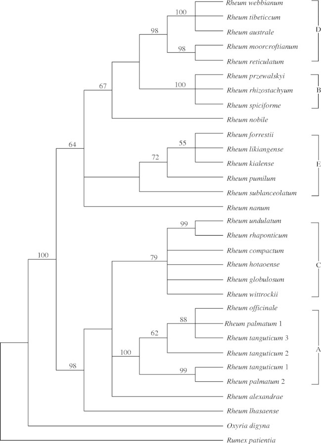 Fig. 3.