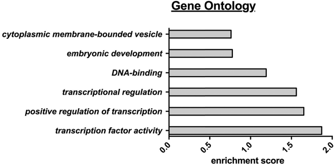 Figure 6