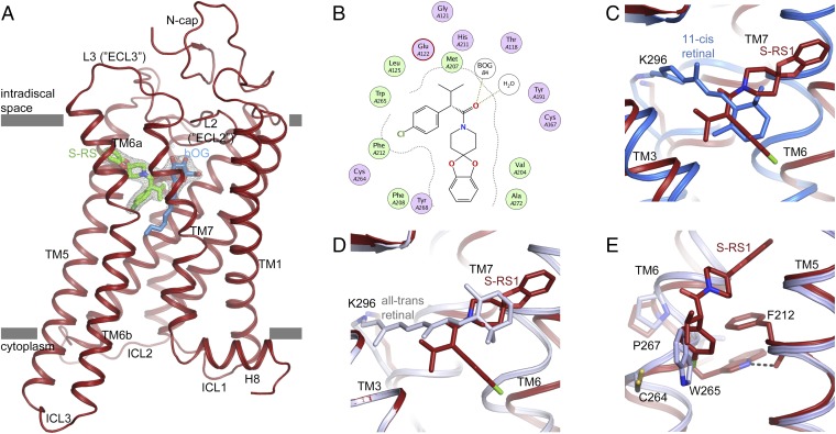 Fig. 2.