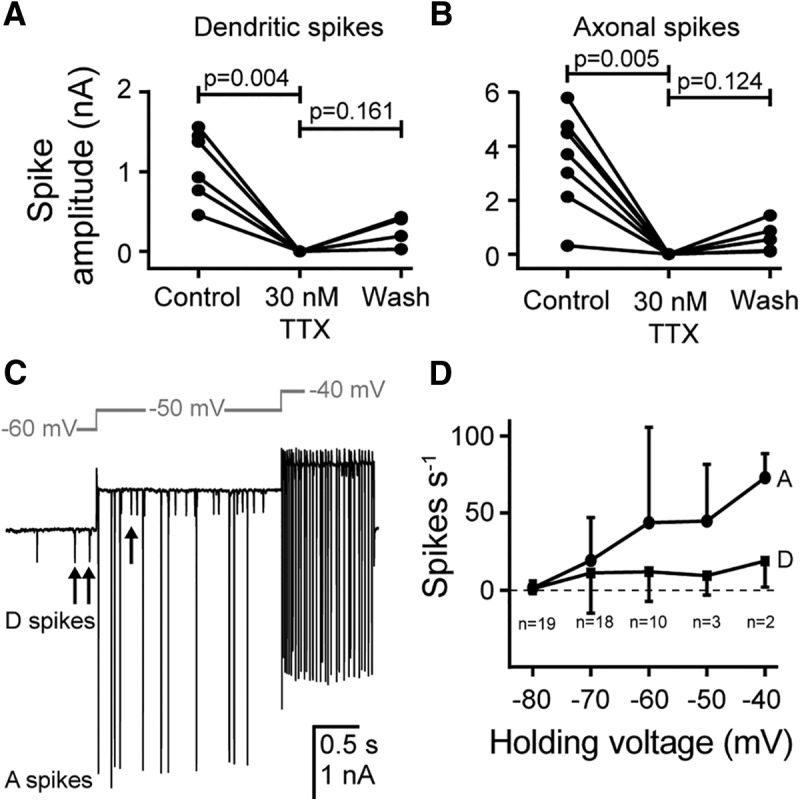 Figure 5.